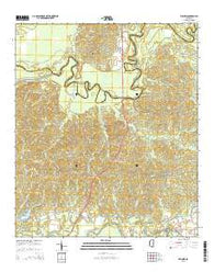 Willows Mississippi Current topographic map, 1:24000 scale, 7.5 X 7.5 Minute, Year 2015