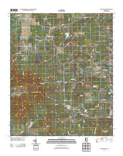 Woodland Mississippi Historical topographic map, 1:24000 scale, 7.5 X 7.5 Minute, Year 2012