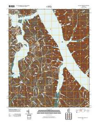 Yellow Creek Mississippi Historical topographic map, 1:24000 scale, 7.5 X 7.5 Minute, Year 2010
