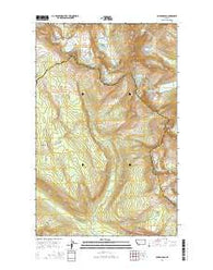 Ahern Pass Montana Current topographic map, 1:24000 scale, 7.5 X 7.5 Minute, Year 2014