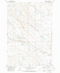 Alzada NW Montana Historical topographic map, 1:24000 scale, 7.5 X 7.5 Minute, Year 1980