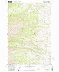 Amelong Creek Montana Historical topographic map, 1:24000 scale, 7.5 X 7.5 Minute, Year 1972
