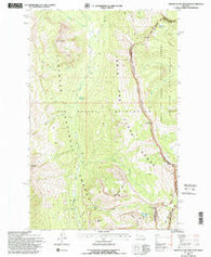 Amphitheatre Mountain Montana Historical topographic map, 1:24000 scale, 7.5 X 7.5 Minute, Year 1994