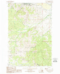 Anaconda South Montana Historical topographic map, 1:24000 scale, 7.5 X 7.5 Minute, Year 1989