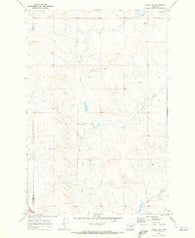 Angela NE Montana Historical topographic map, 1:24000 scale, 7.5 X 7.5 Minute, Year 1969