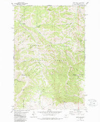 Arrow Peak Montana Historical topographic map, 1:24000 scale, 7.5 X 7.5 Minute, Year 1978