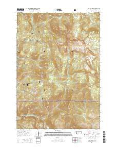 Ash Mountain Montana Current topographic map, 1:24000 scale, 7.5 X 7.5 Minute, Year 2014