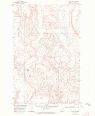 Austin Lake Montana Historical topographic map, 1:24000 scale, 7.5 X 7.5 Minute, Year 1968