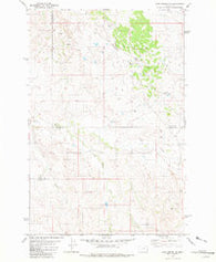Ayer Spring NE Montana Historical topographic map, 1:24000 scale, 7.5 X 7.5 Minute, Year 1981