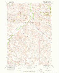 Badbaby Coulee Montana Historical topographic map, 1:24000 scale, 7.5 X 7.5 Minute, Year 1967