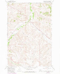 Badbaby Coulee Montana Historical topographic map, 1:24000 scale, 7.5 X 7.5 Minute, Year 1967