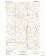 Badland Draw Montana Historical topographic map, 1:24000 scale, 7.5 X 7.5 Minute, Year 1981