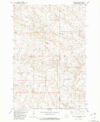 Badland Draw Montana Historical topographic map, 1:24000 scale, 7.5 X 7.5 Minute, Year 1981
