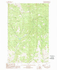 Bailey Mountain Montana Historical topographic map, 1:24000 scale, 7.5 X 7.5 Minute, Year 1989