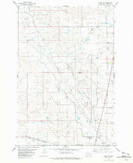Baker NE Montana Historical topographic map, 1:24000 scale, 7.5 X 7.5 Minute, Year 1981