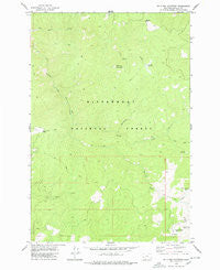 Bald Top Mountain Montana Historical topographic map, 1:24000 scale, 7.5 X 7.5 Minute, Year 1978