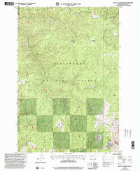 Bald Top Mountain Montana Historical topographic map, 1:24000 scale, 7.5 X 7.5 Minute, Year 1998