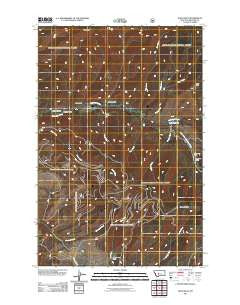 Bald Hills Montana Historical topographic map, 1:24000 scale, 7.5 X 7.5 Minute, Year 2011