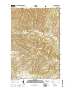 Bald Hills Montana Current topographic map, 1:24000 scale, 7.5 X 7.5 Minute, Year 2014