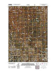 Bald Top Mountain Montana Historical topographic map, 1:24000 scale, 7.5 X 7.5 Minute, Year 2011