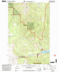 Baldy Lake Montana Historical topographic map, 1:24000 scale, 7.5 X 7.5 Minute, Year 1999
