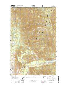 Baldy Lake Montana Current topographic map, 1:24000 scale, 7.5 X 7.5 Minute, Year 2014