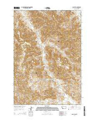 Baldy Peak Montana Current topographic map, 1:24000 scale, 7.5 X 7.5 Minute, Year 2014