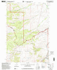 Bannock Pass Montana Historical topographic map, 1:24000 scale, 7.5 X 7.5 Minute, Year 1997