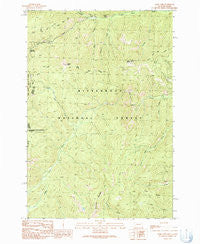 Bare Cone Montana Historical topographic map, 1:24000 scale, 7.5 X 7.5 Minute, Year 1991