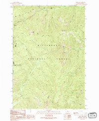 Bare Cone Montana Historical topographic map, 1:24000 scale, 7.5 X 7.5 Minute, Year 1991