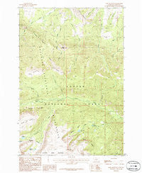 Bare Mountain Montana Historical topographic map, 1:24000 scale, 7.5 X 7.5 Minute, Year 1986