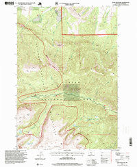 Bare Mountain Montana Historical topographic map, 1:24000 scale, 7.5 X 7.5 Minute, Year 1996