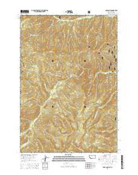 Bare Cone Montana Current topographic map, 1:24000 scale, 7.5 X 7.5 Minute, Year 2014