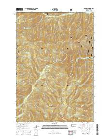 Bare Cone Montana Current topographic map, 1:24000 scale, 7.5 X 7.5 Minute, Year 2014