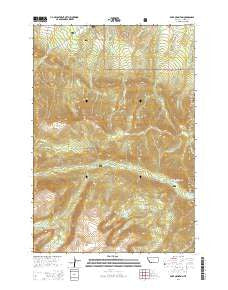 Bare Mountain Montana Current topographic map, 1:24000 scale, 7.5 X 7.5 Minute, Year 2014