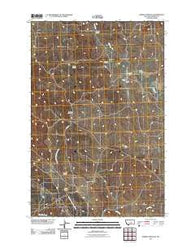 Barney Pinnacle Montana Historical topographic map, 1:24000 scale, 7.5 X 7.5 Minute, Year 2011