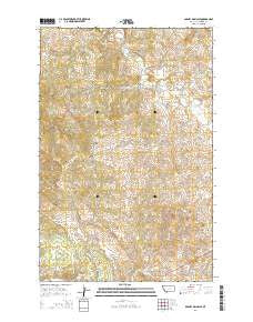 Barney Pinnacle Montana Current topographic map, 1:24000 scale, 7.5 X 7.5 Minute, Year 2014