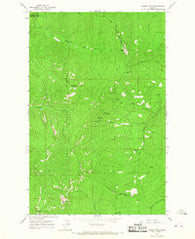 Bassoo Peak Montana Historical topographic map, 1:24000 scale, 7.5 X 7.5 Minute, Year 1964