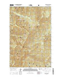 Bassoo Peak Montana Current topographic map, 1:24000 scale, 7.5 X 7.5 Minute, Year 2014