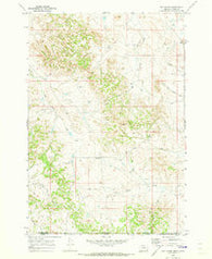 Bay Horse Montana Historical topographic map, 1:24000 scale, 7.5 X 7.5 Minute, Year 1970