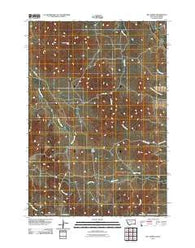 Bay Horse Montana Historical topographic map, 1:24000 scale, 7.5 X 7.5 Minute, Year 2011