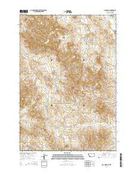 Bay Horse Montana Current topographic map, 1:24000 scale, 7.5 X 7.5 Minute, Year 2014