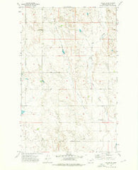 Baylor NE Montana Historical topographic map, 1:24000 scale, 7.5 X 7.5 Minute, Year 1973