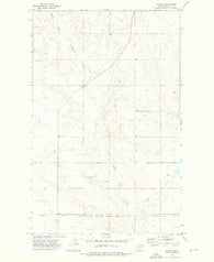 Baylor Montana Historical topographic map, 1:24000 scale, 7.5 X 7.5 Minute, Year 1973