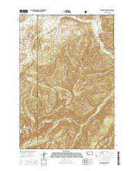 Beacon Point Montana Current topographic map, 1:24000 scale, 7.5 X 7.5 Minute, Year 2014