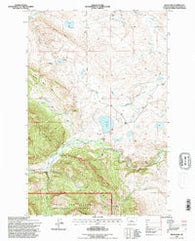 Bean Lake Montana Historical topographic map, 1:24000 scale, 7.5 X 7.5 Minute, Year 1995