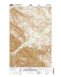 Bean Lake Montana Current topographic map, 1:24000 scale, 7.5 X 7.5 Minute, Year 2014