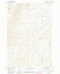 Bear Coulee Montana Historical topographic map, 1:24000 scale, 7.5 X 7.5 Minute, Year 1968