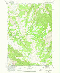 Bear Hole Montana Historical topographic map, 1:24000 scale, 7.5 X 7.5 Minute, Year 1969