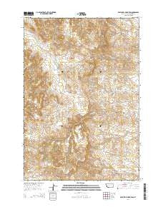 Bear Skull Mountain Montana Current topographic map, 1:24000 scale, 7.5 X 7.5 Minute, Year 2014